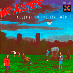 Mr. Mister「Welcome to the Real World」